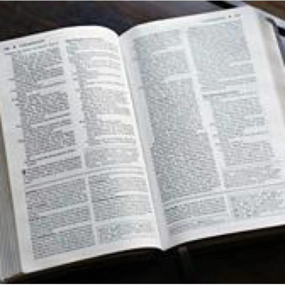 NIV Foundation Study Bible, Leathersoft, Brown, Red Letter NIB